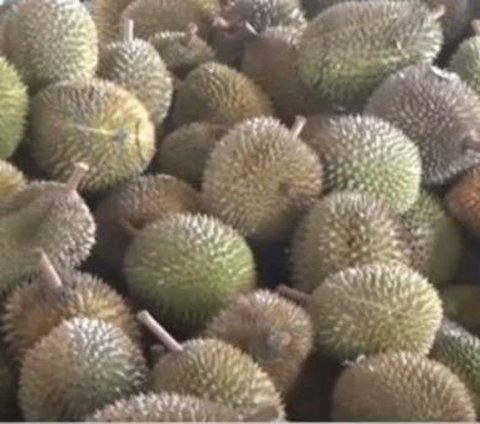 Fenomena Masyarakat China Borong Durian, Tak Hanya untuk Dimakan tapi Jadi Simbol Kekayaan