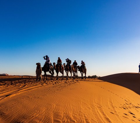 Gurun Sahara Dulu Pernah Hijau, Peneliti Ungkap Kapan dan Penyebabnya