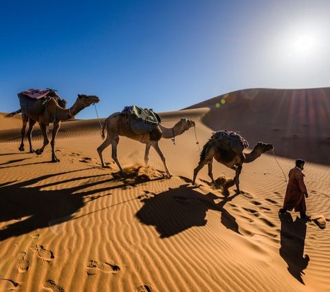 Gurun Sahara Dulu Pernah Hijau, Peneliti Ungkap Kapan dan Penyebabnya