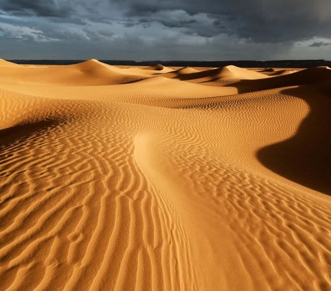 Gurun Sahara Dulu Pernah Hijau, Peneliti Ungkap Kapan dan Penyebabnya