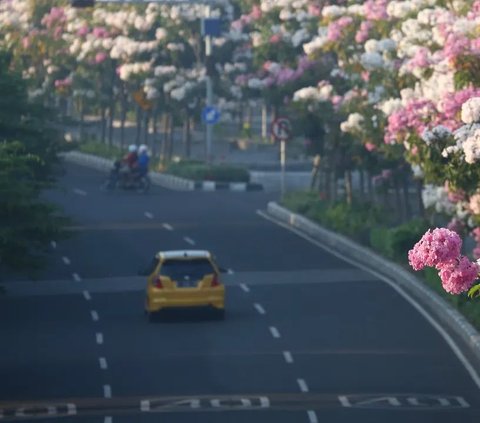 Berdasarkan indeks kualitas udara (IKU) Kementerian Lingkungan Hidup dan Kehutanan (KLHK), Surabaya masuk 10 besar kota dengan kualitas udara terbersih se-Indonesia.