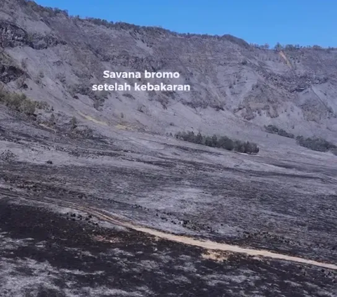 Admitting to Have Extinguished the Fire, the Wedding Organizer and Bride-to-be Blame Strong Wind and Dry Grass in Bromo