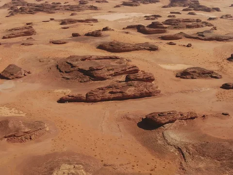 Ribuan Tulang Hewan dan Manusia Berusia 7.000 Tahun Ditemukan di Arab Saudi, Ternyata untuk Ritual