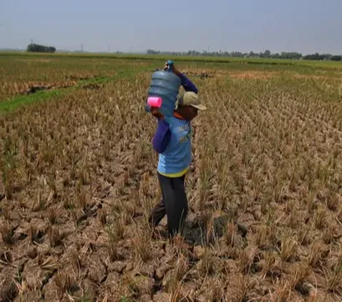 Krisis Iklim Makin Parah, Air Bersih Jadi Barang Langka Pada 2030