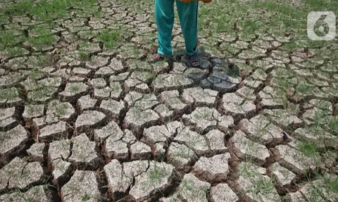 Krisis Iklim Makin Parah, Air Bersih Jadi Barang Langka Pada 2030