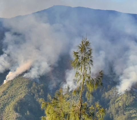 Kuasa Hukum Tersangka Kebakaran Bukit Teletubbies Bakal Laporkan Balik Pengelola Gunung Bromo
