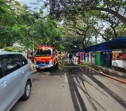 Kebakaran Museum Nasional, Repatriasi dari Belanda Dipastikan Aman