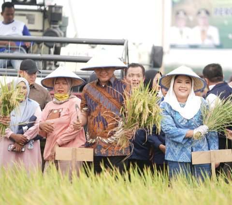 Dinilai Berhasil Kelola Pertanian, Bupati OKU Timur Raih Penghargaan dari Kementan