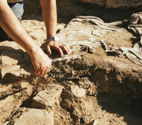 Manusia Sudah Pakai Sepatu Lari Sejak 150.000 Tahun Lalu, Ini Buktinya