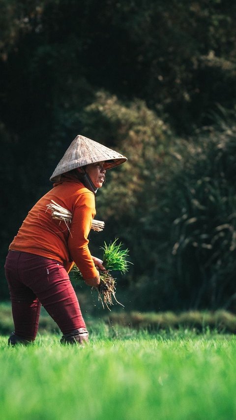 Ilmuwan Ungkap Temuan Awal Manusia Mulai Bercocok Tanam