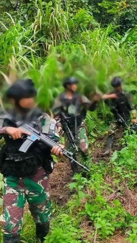 Belah Hutan-Lewati Sungai, Pasukan TNI Tewaskan 5 KKB saat Kontak Tembak di Pegunungan Papua