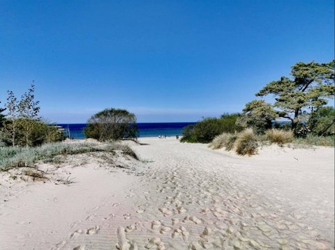 Ingin Cari Fosil di Pantai, Bocah 8 Tahun Malah Temukan Gesper Viking Berusia 900 Tahun