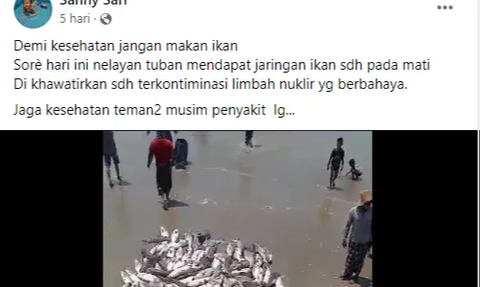 CEK FAKTA: Heboh Ikan Mati di Tuban, Gara-Gara Terkontaminasi Limbah Nuklir?