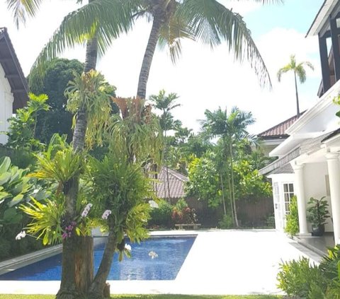 Portrait of the Swimming Pool in Maudy Ayunda's Luxury House, Feels Like in Bali