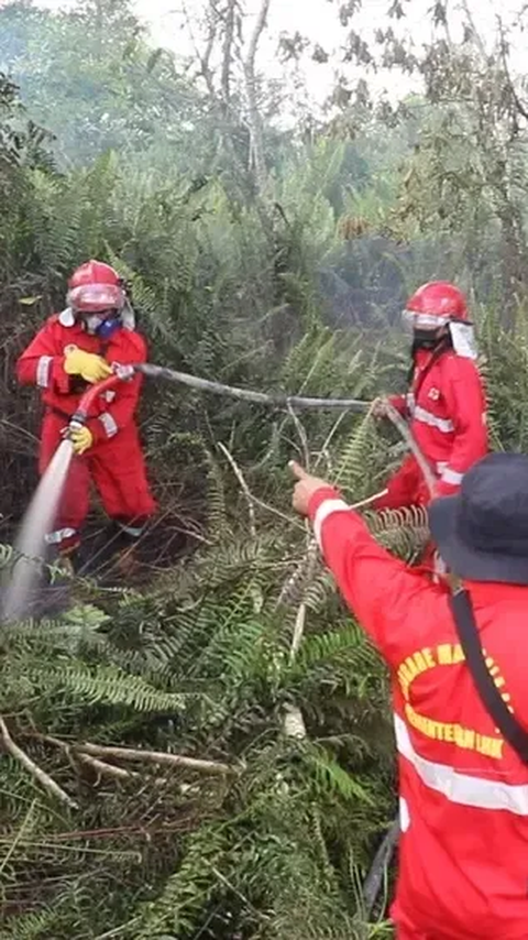 Pada hari penangkapan, tersangka membakar hasil tebasannya sedikit demi sedikit. Namun api cepat menyebar ke sekitarnya karena embusan angin dan bahan kering.