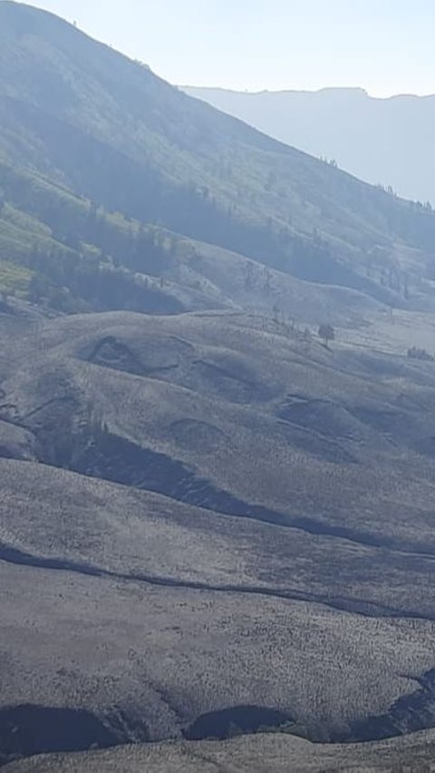 Pasca-Kebakaran akibat Foto Prewed Flare, Wisata Gunung Bromo Dibuka Malam Ini