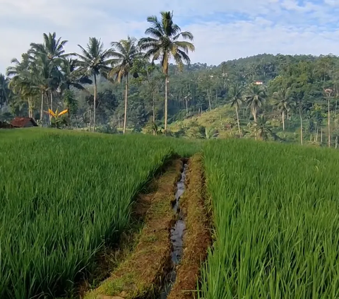 Sungainya Jernih, Intip Pesona Kampung Batu Malang di Ciamis yang Bikin Betah