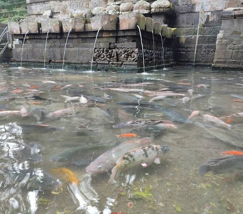 Air Tersejuk Kedua di Dunia Setelah Zamzam, Ini 4 Fakta Unik Petirtaan Jolotundo Mojokerto