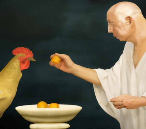 Praktik ini dikenal dengan Augury, yaitu praktik menafsirkan pertanda dari perilaku ayam. Ayam-ayam ini menjadi tanggung jawab seorang imam yang disebut Pullarius. 