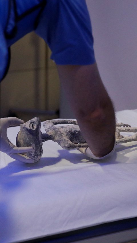 Pemeriksaan CT scan yang dilakukan di Noor Clinic, di Huixquilucan, Meksiko ini untuk mencari kebenaran bahwa dua mumi itu berasal dari luar Bumi atau sebaliknya.