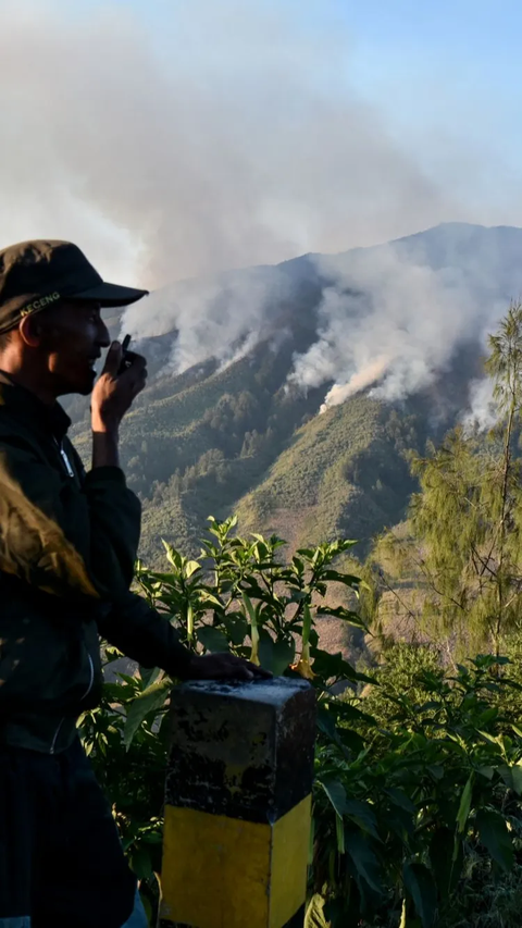 Kebakaran Bromo dan Pengelolaan Taman Nasional di Indonesia