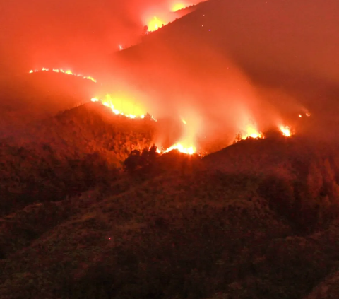 Kebakaran Bromo dan Pengelolaan Taman Nasional di Indonesia