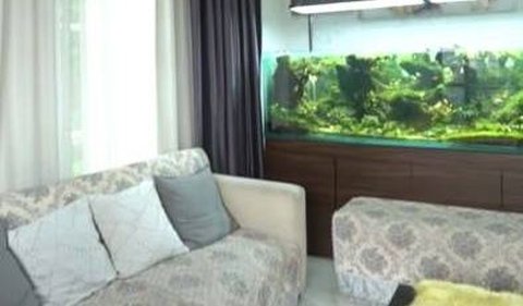 There is an aquarium in Denny Cagur's living room.