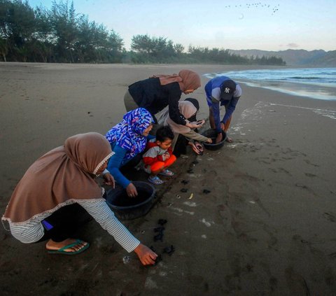 Pantai Kili-Kili yang berlokasi di Desa Wonocoyo, Kabupaten Trenggalek, merupakan rumah bagi penyu untuk bertelur. <br><br>Setiap tahunnya, ada 40 sarang telur penyu yang ditemukan dan diambil telurnya.<br>