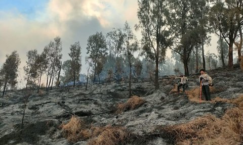 Dampak Kebakaran Hutan TNBTS, Objek Wisata B29 Lumajang Ditutup