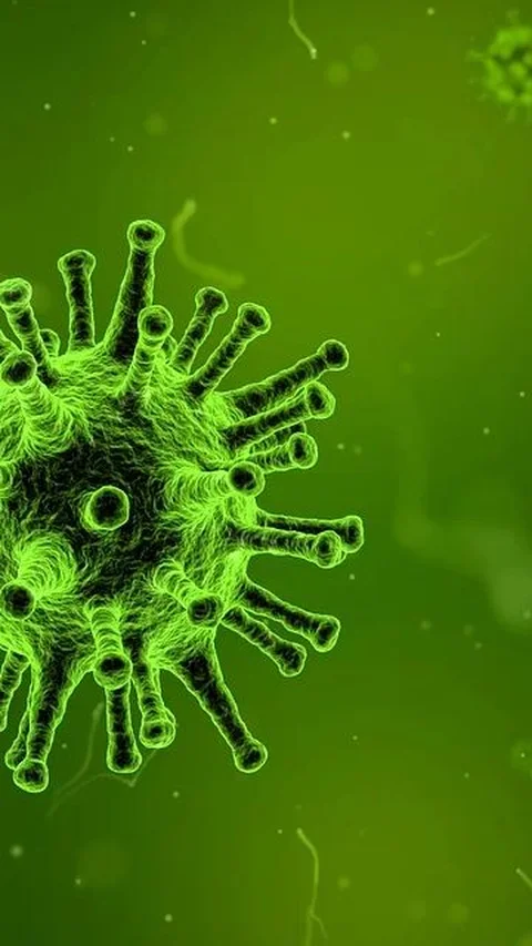 Cara Penularan Virus Nipah antar Manusia, Ketahui Ciri-ciri Orang yang Terinfeksi<br>