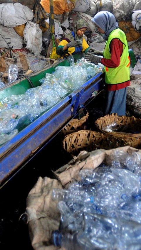 Koperasi ini memberdayakan para pemulung serta warga setempat sebagai pekerja pengolah sampah botol dan galon plastik.