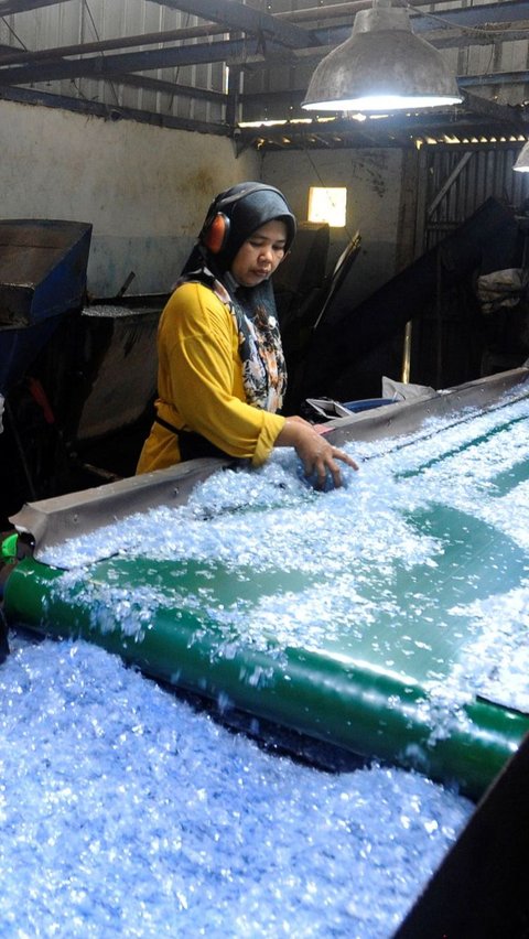Seorang pekerja memilah plastik cacah  di Koperasi Pemulung Berdaya. Hasil dari daur ulang plastik tersebut akan dipasarkan kepada perusahaan berbahan baku plastik.<br>