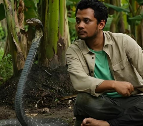 The Story of Panji the Adventurer 'Greeted' by a Voice Without Form After Being Bitten by a Strange Snake