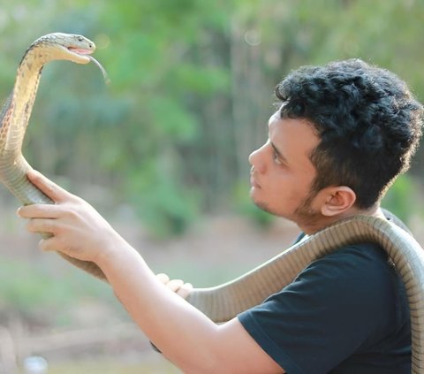 The Story of Panji the Adventurer 'Greeted' by a Voice Without Form After Being Bitten by a Strange Snake