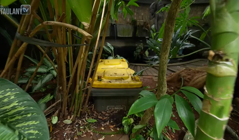 Dwi Sasono juga memanfaatkan sampah organik di rumahnya menjadi pupuk.<br>