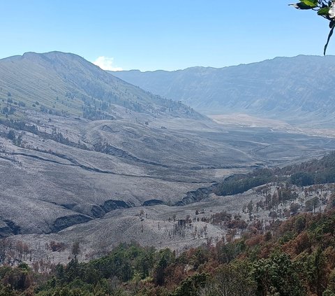 Dibuka Kembali Usai Kebakaran, Begini Potret Terbaru Gunung Bromo