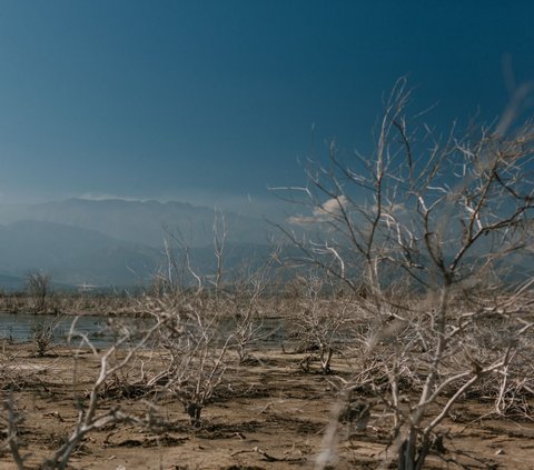 Earth Turns into Barren Land in the End of Time, Drought and World Disorder Occur