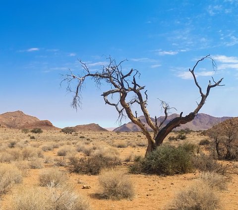 Earth Turns into Barren Land in the End of Time, Drought and World Disorder Occur