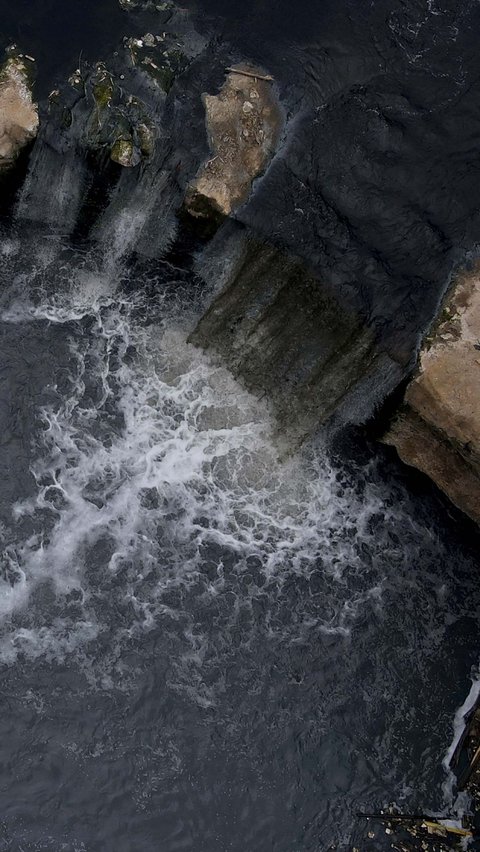 Fenomena matinya banyak ikan sapu-sapu ini mengindikasikan cemaran sungai di Curug Parigi itu dalam kondisi yang parah.<br>