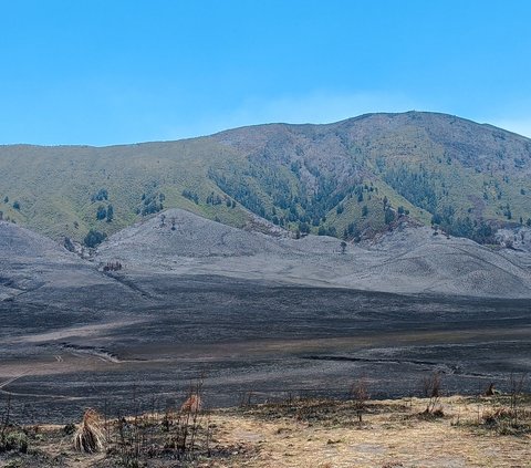 Kebakaran Bukit Teletubbies Bromo Gara-Gara Flare Foto Prewed, Kerugian Capai Rp5,4 M