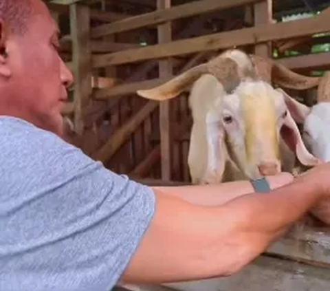 Refreshing Ala Pensiunan Letjen TNI, Pergi ke Kandang Lihat Binatang Ternak dari Kuda Hingga Kambing