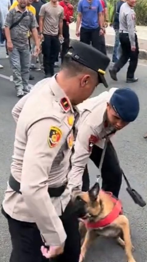 Salah Sasaran, Aksi Anjing Polisi Tak Sengaja Gigit Sang Komandan Ini Viral