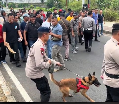 Salah Sasaran, Aksi Anjing Polisi Tak Sengaja Gigit Sang Komandan Ini Viral