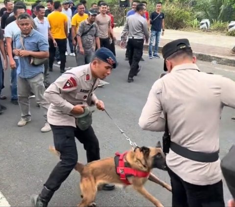 Salah Sasaran, Aksi Anjing Polisi Tak Sengaja Gigit Sang Komandan Ini Viral