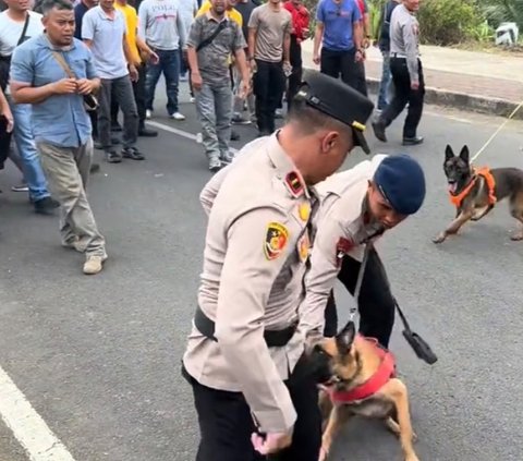 Salah Sasaran, Aksi Anjing Polisi Tak Sengaja Gigit Sang Komandan Ini Viral