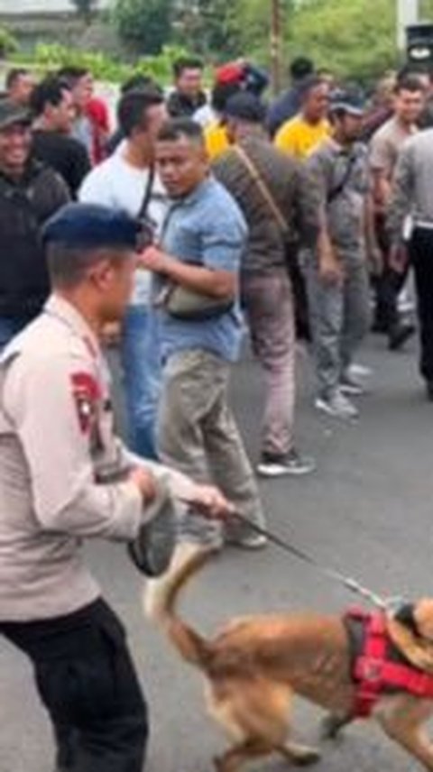 Bikin Terkejut, Momen Anjing Pelacak Tiba-tiba Serang dan Gigit Polisi 'Maaf Komandan ini di Luar Skenario'