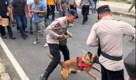 Tiba-tiba Menyerang dan Menggigit Komandan Polisi <br>