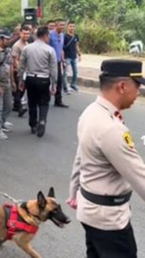 Bikin Terkejut, Momen Anjing Pelacak Tiba-tiba Serang dan Gigit Polisi 'Maaf Komandan ini di Luar Skenario'