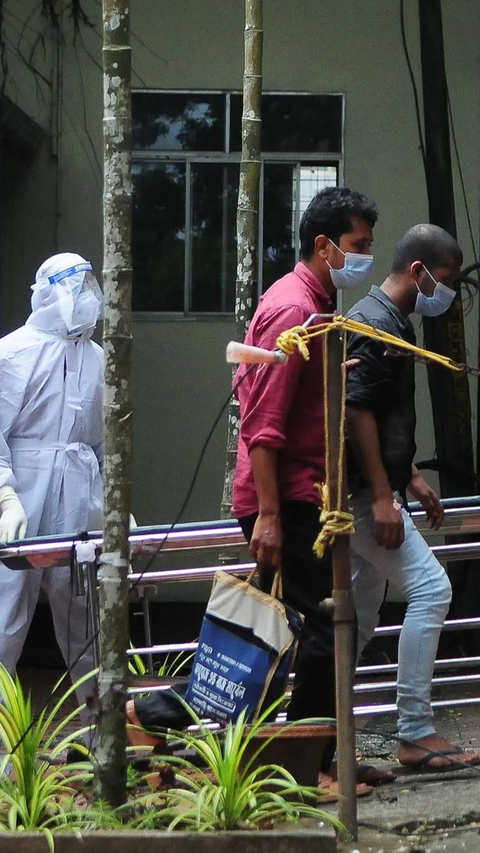 Heboh Virus Nipah, Begini Proses Penularan dan Cara Mengobatinya<br>