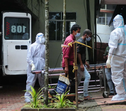 Heboh Virus Nipah, Begini Proses Penularan dan Cara Mengobatinya